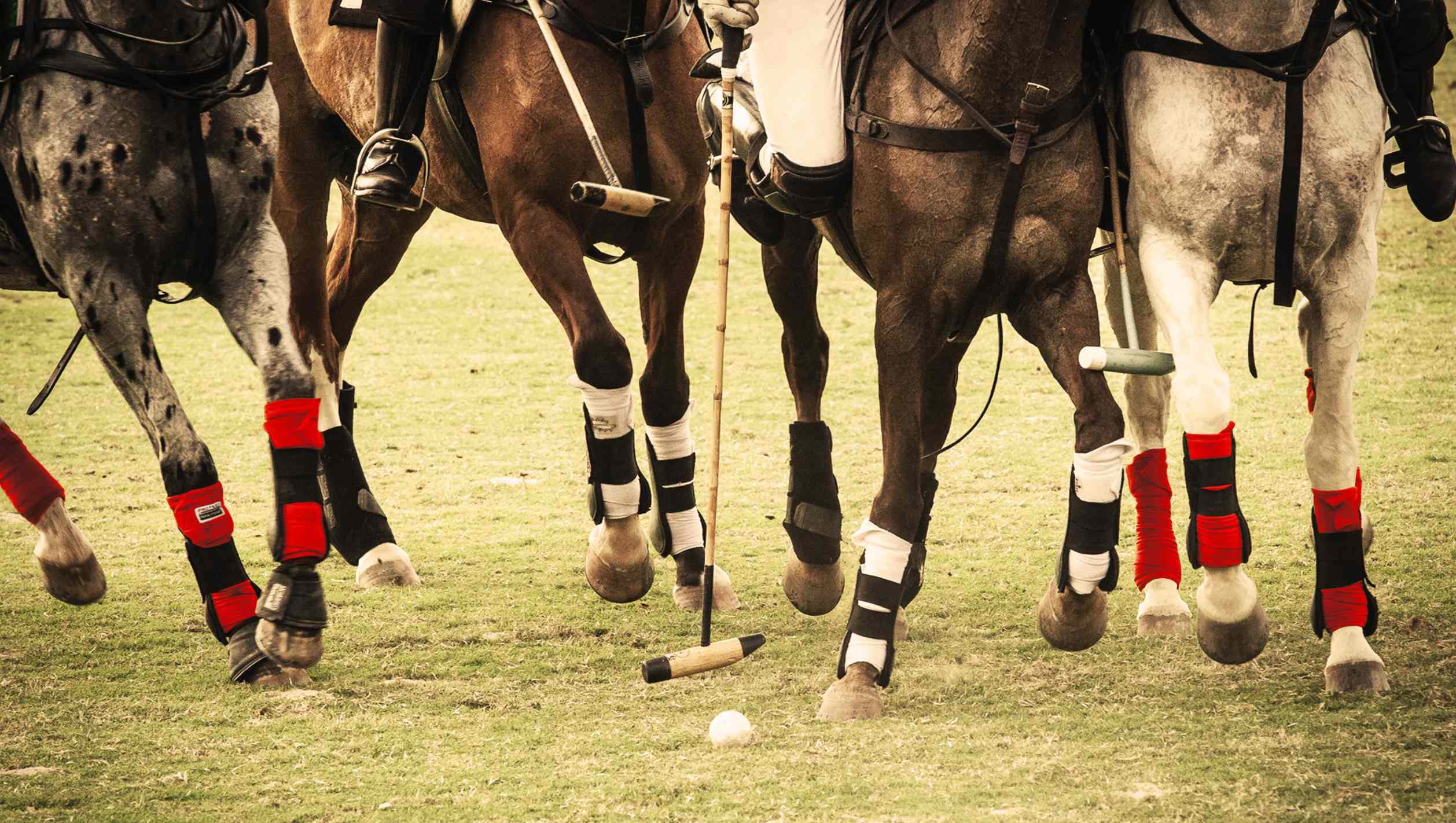 Read more about the article Engel & Völkers + Land Rover Polo School