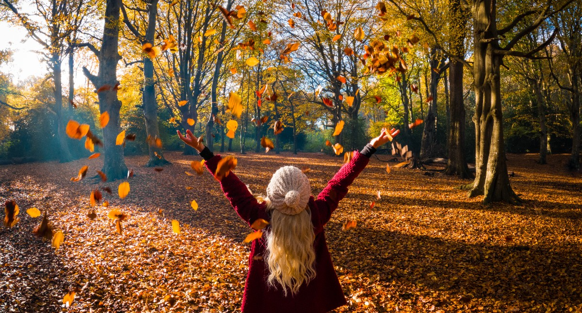 You are currently viewing 7 Ways To Stay Energised This Autumn