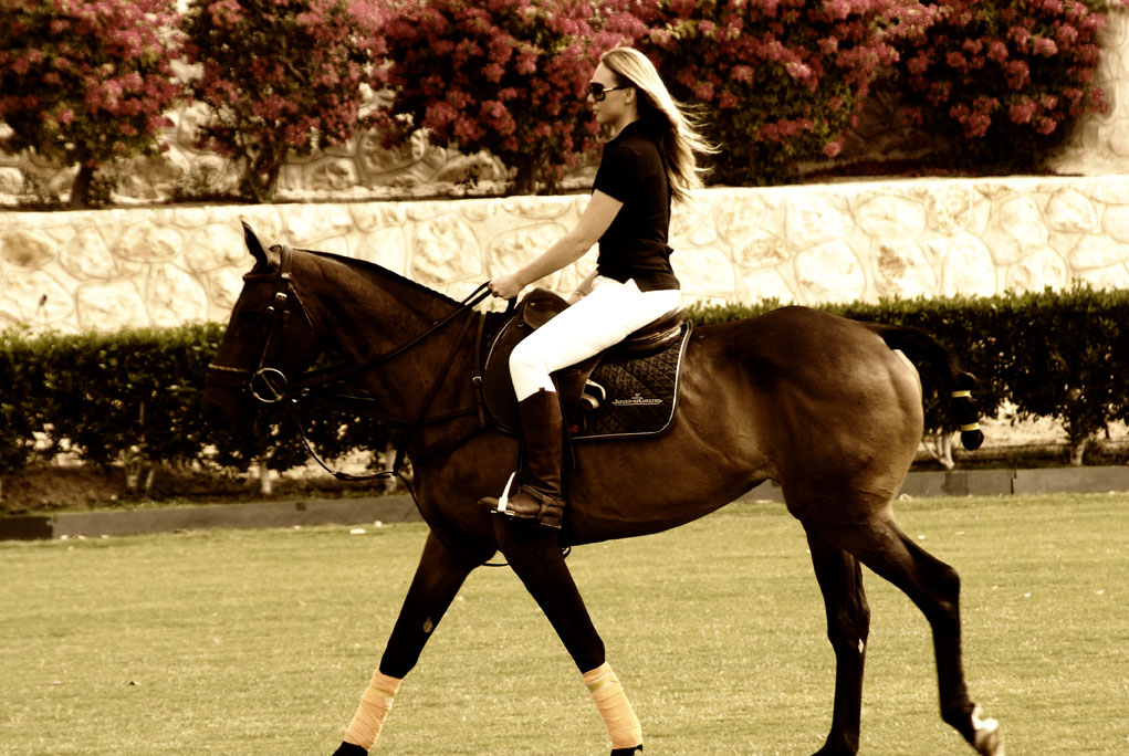 Read more about the article How To Be More Confident Around Horses