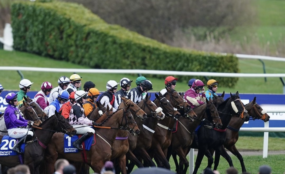 Read more about the article The Cheltenham Festival and the Queens of Country Chic 