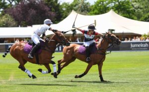 Read more about the article Chestertons Polo in the Park London