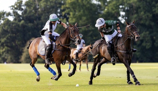 You are currently viewing Four Polo Superstars Who Achieved a 10-Goal Handicap