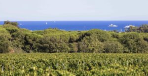 Read more about the article <strong>Every Day Is a Rosé Day In St. Tropez</strong>
