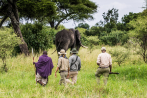 Read more about the article Six Tips for Planning an African Safari 